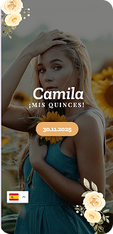 Modelo Spring